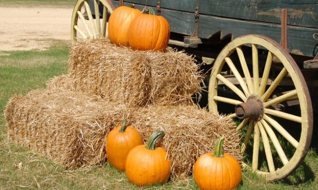 Johnny Appleseed Orchard & Family Farm exhibit coming to the lower level